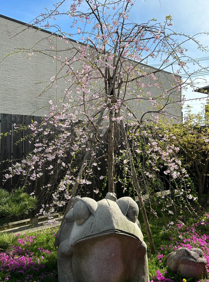 スクリーンショット (73).png (1.35 MB)