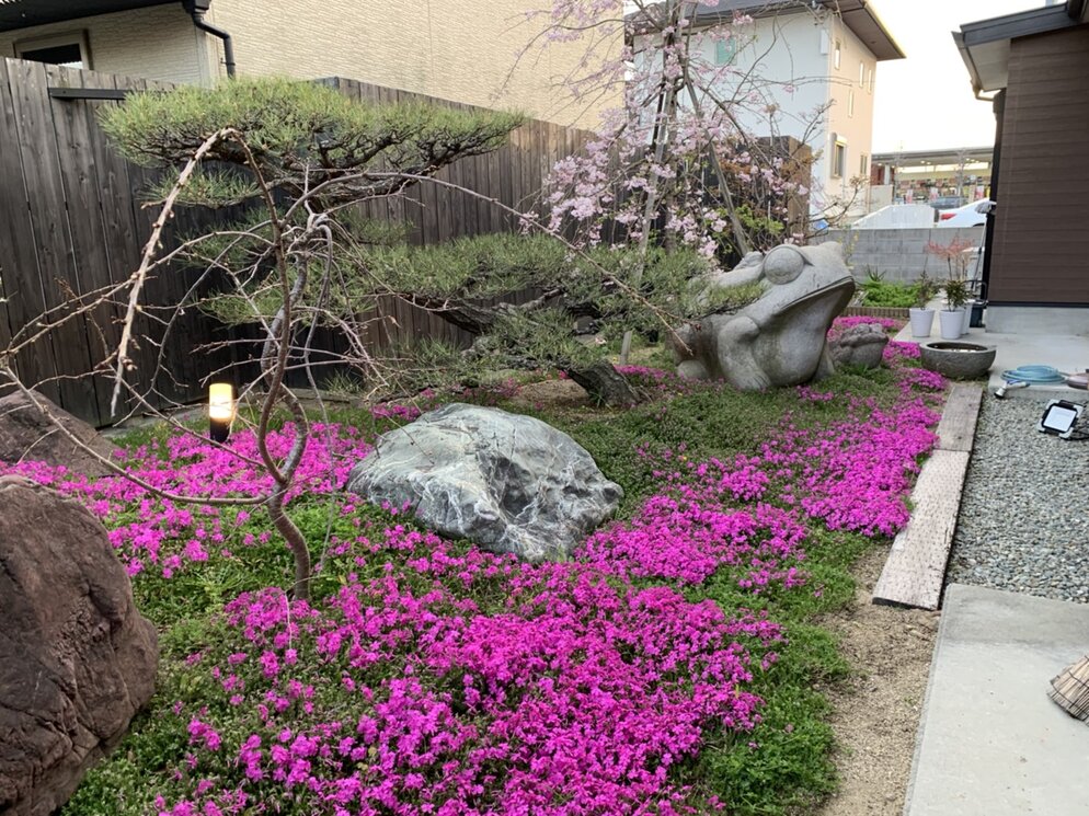 17886836088542.jpg (240 KB)